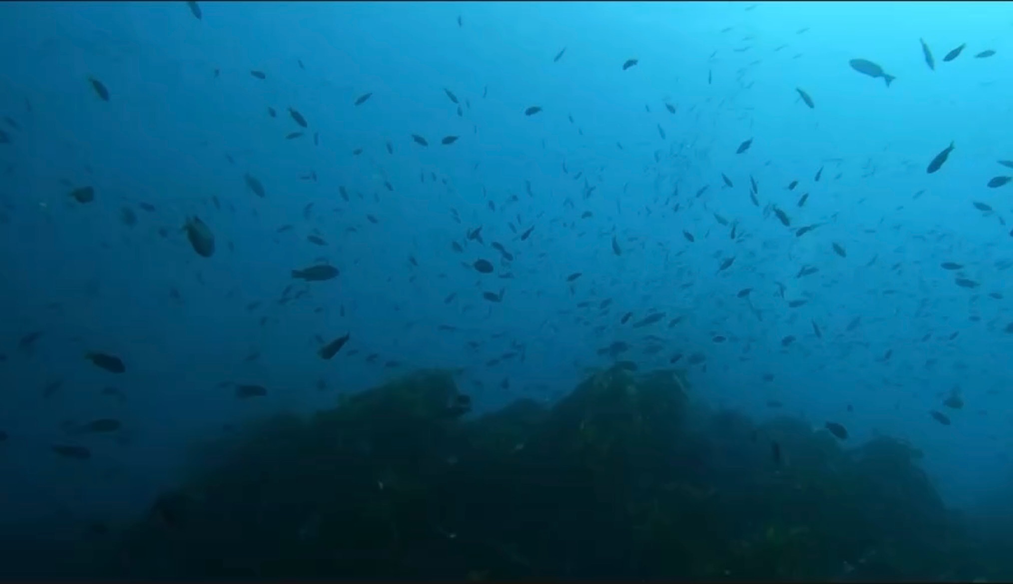 Sea level rise affecting coastal communities